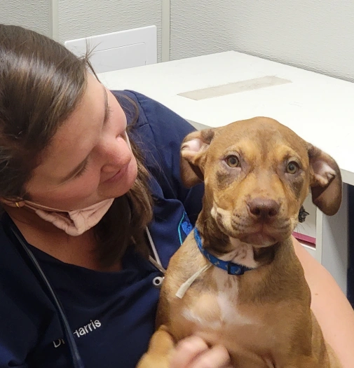 accreditations-certifications