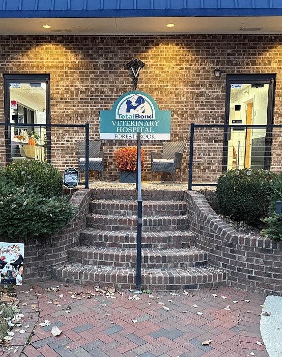 Welcome to TotalBond Veterinary Hospital at Forestbrook