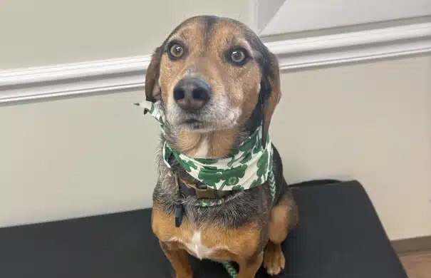 Walk-Ins and Same-Day Appointments