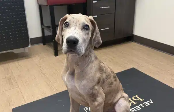 Walk-Ins and Same-Day Appointments